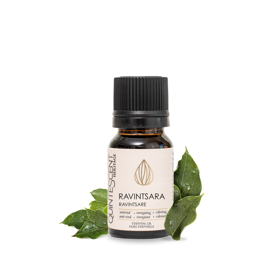 Organic Ravintsara Essential Oil