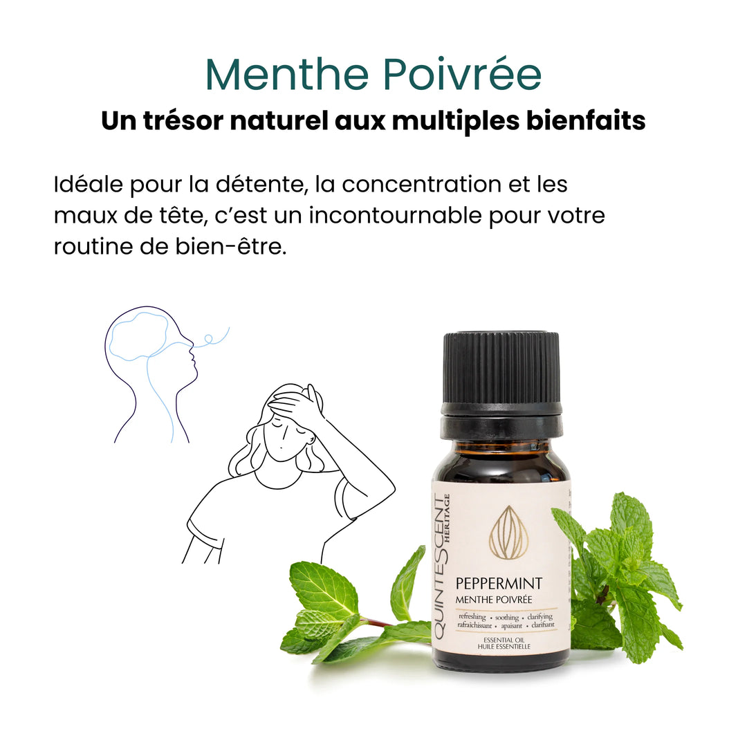 Bubble of Freshness – Purifying Essential Oil Set