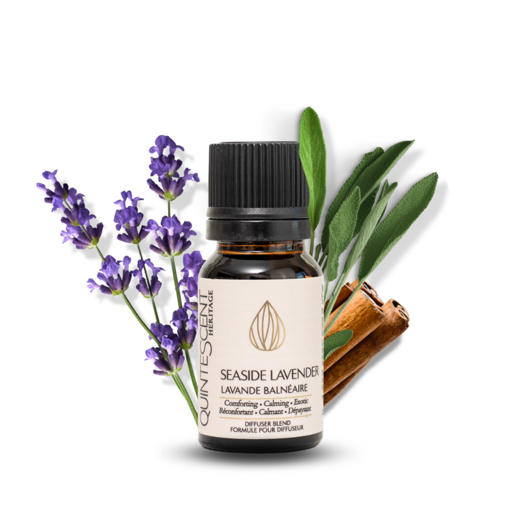 Seaside Lavender - Essential oil blend