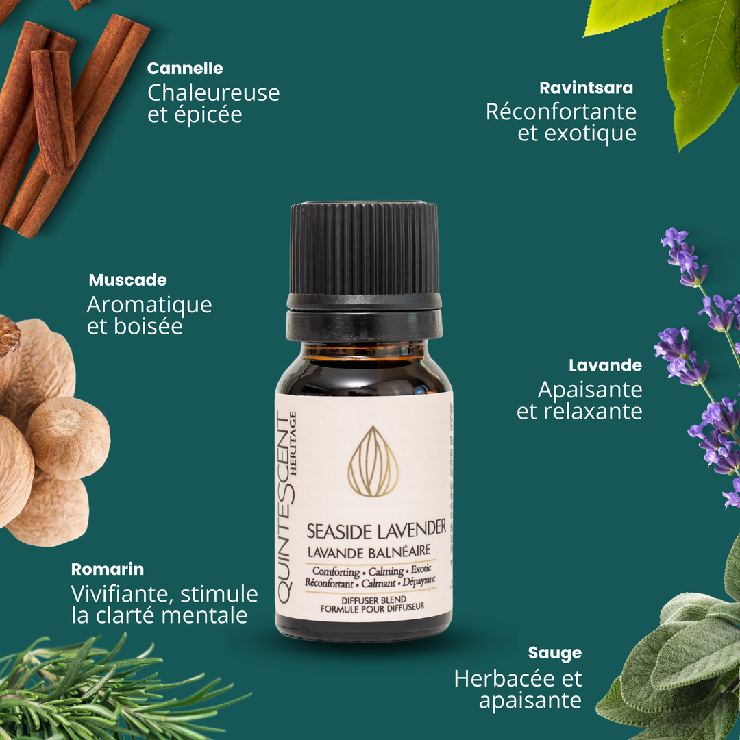 Seaside Lavender - Essential oil blend