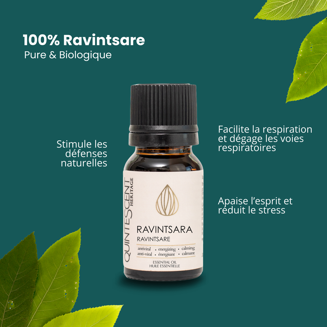 Organic Ravintsara Essential Oil