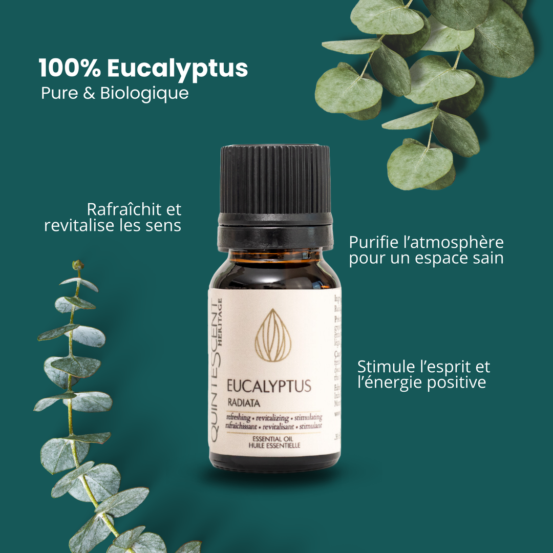 Eucalyptus Radiata Organic Essential Oil