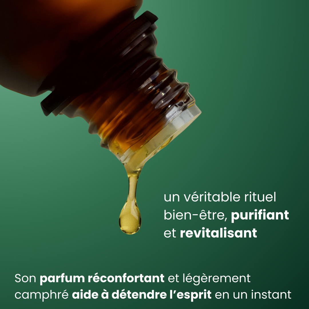 Organic Ravintsara Essential Oil