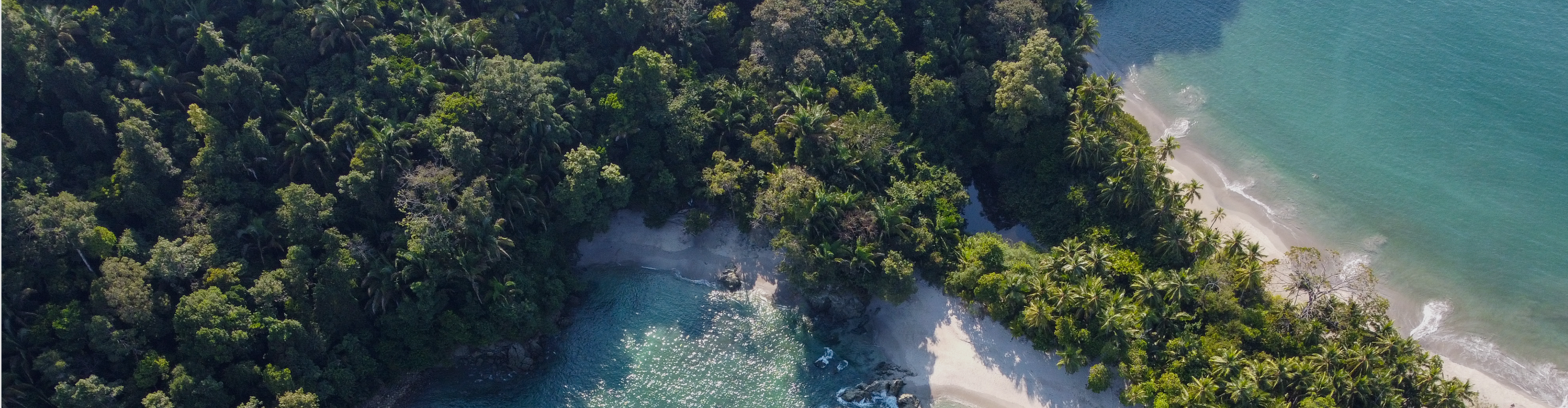 Lorsque vous achetez un produit QuinteScent Heritage, vous participez au développement durable de la région de l'Océan Indien