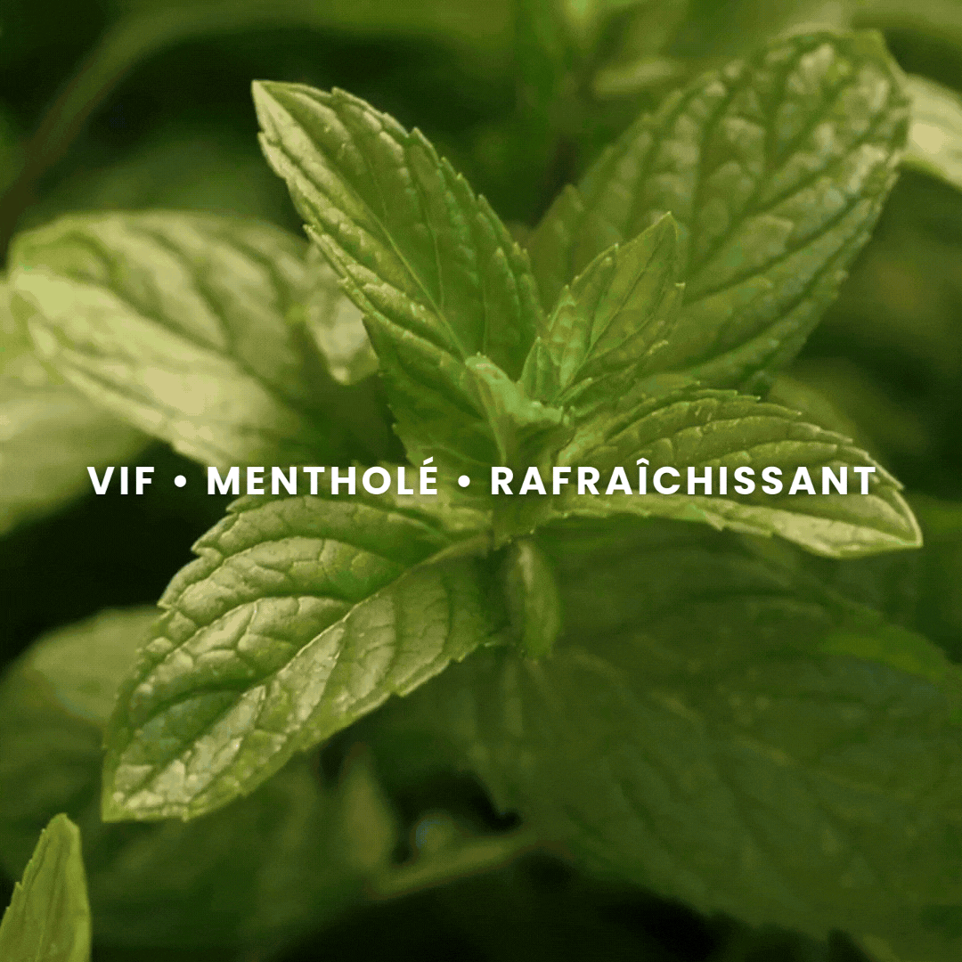 Organic Peppermint Essential Oil