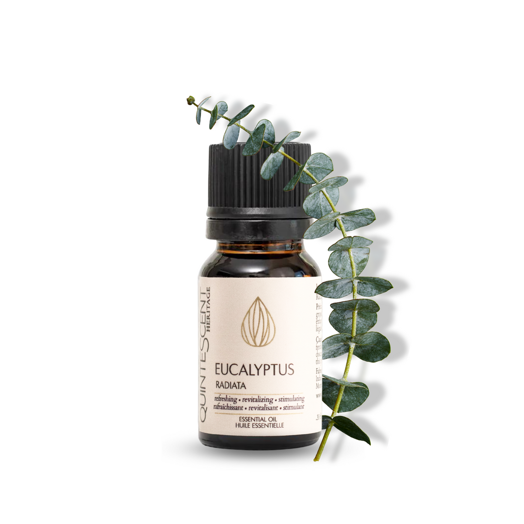 Huile essentielle d'Eucalyptus Radié Biologique - 10mL