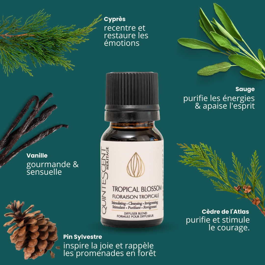 Tropical Blossom - Essential oil blend