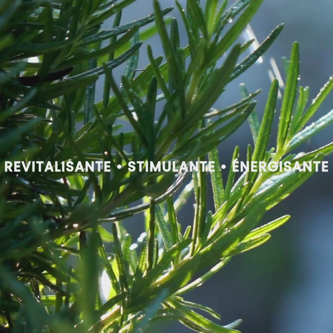Rosemary Organic Essential Oil