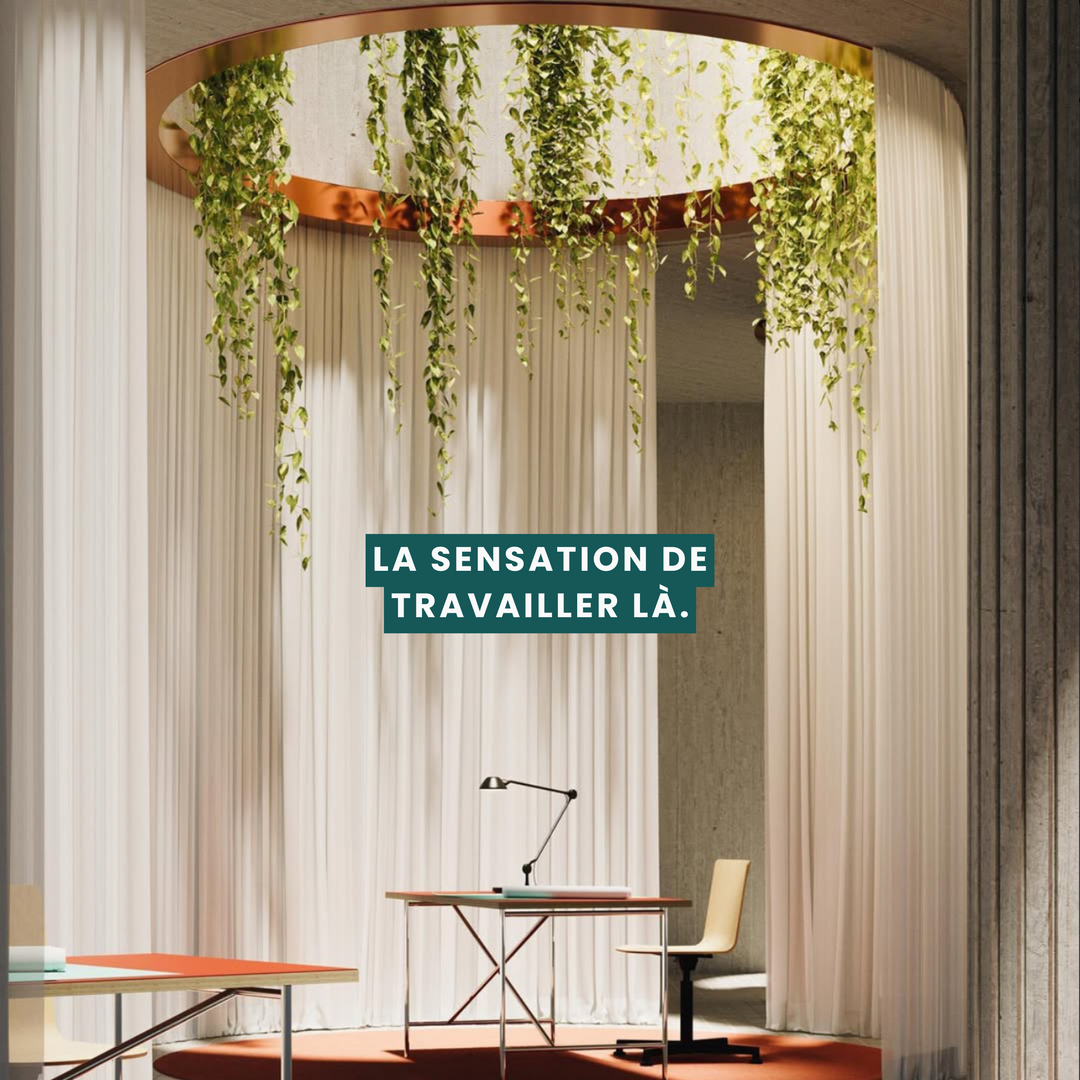 Idées Claires - Mélange d’huiles essentielles