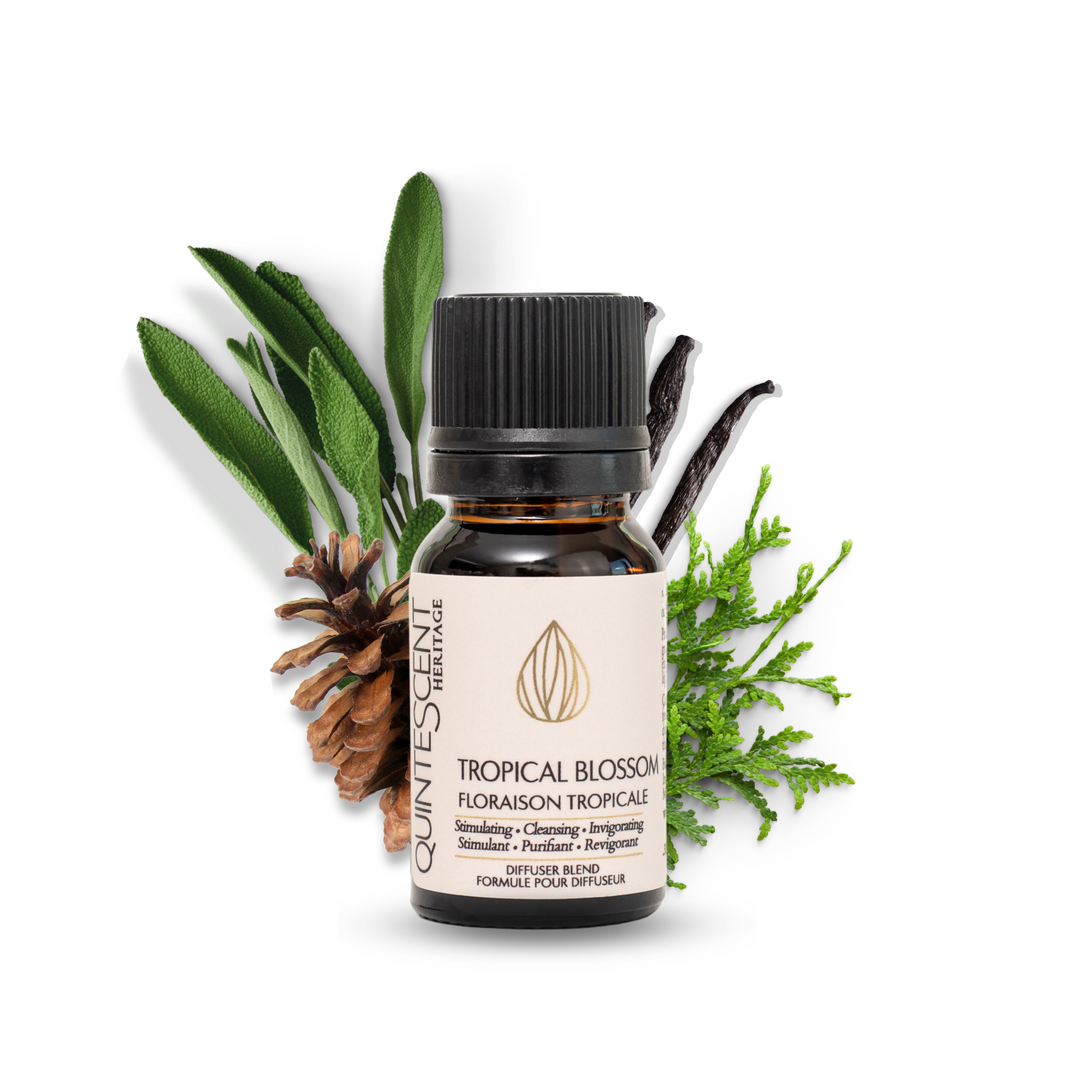 huiles essentielles bois - 10mL