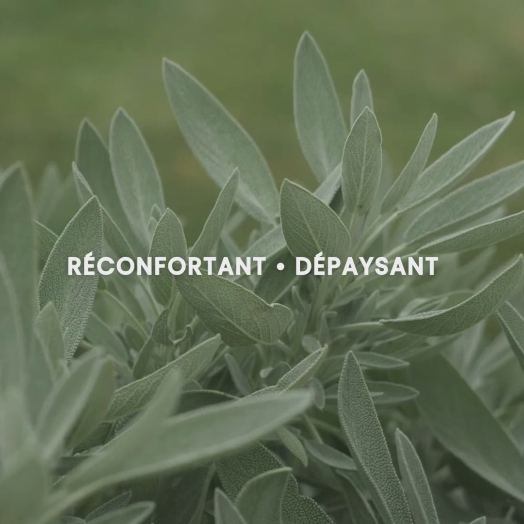 Lavande Balnéaire - Mélange d’huiles essentielles